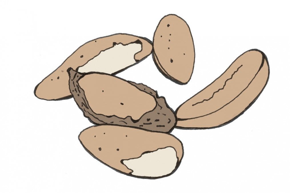 Selenium_C_brazil_nuts